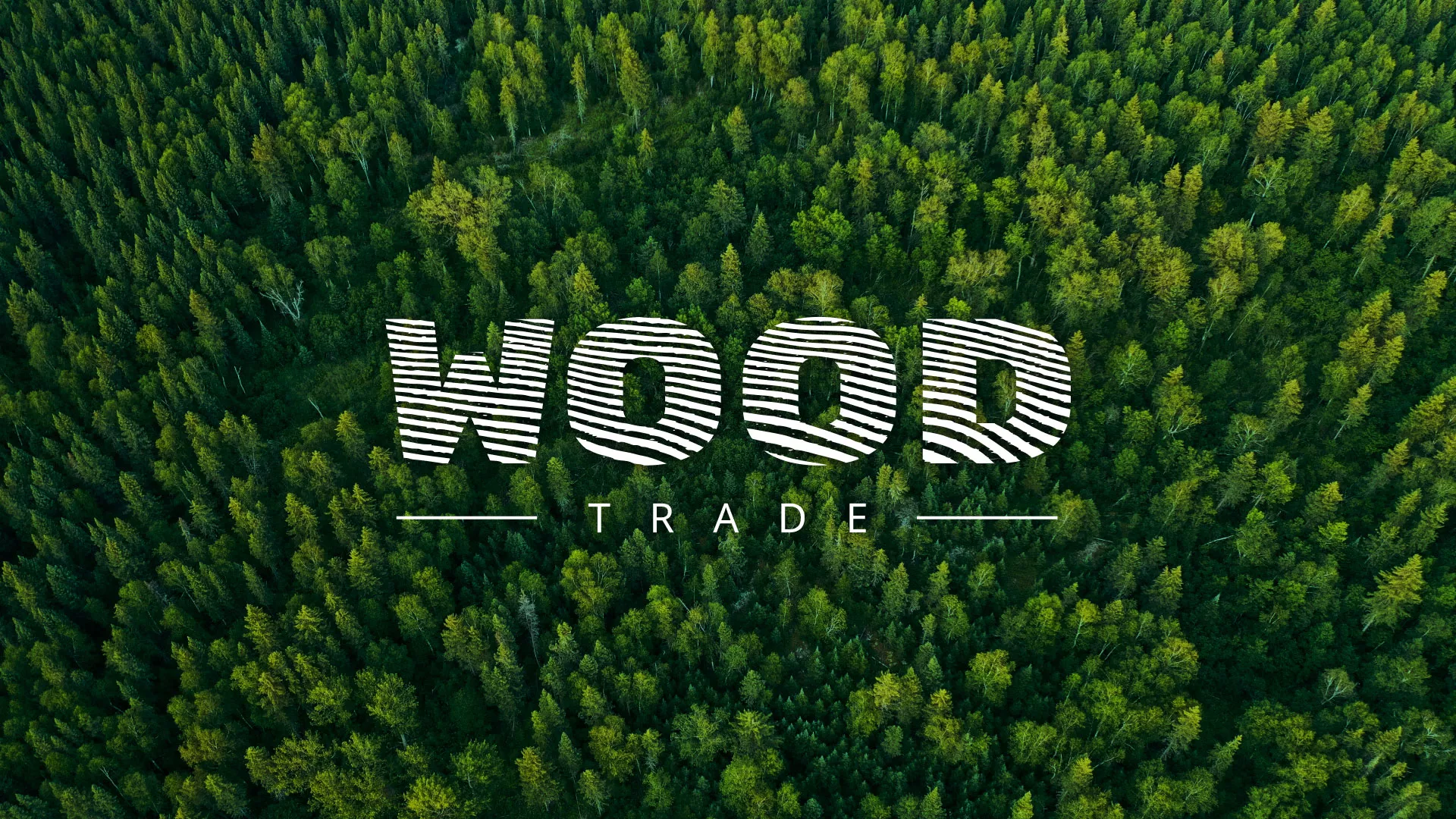Разработка интернет-магазина компании «Wood Trade» в Сковородино